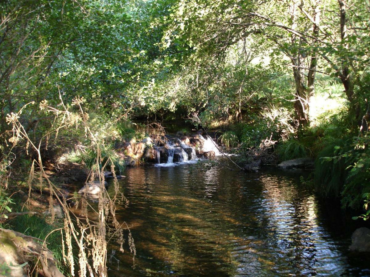 Apartamento La Sierra La Codosera Exteriér fotografie
